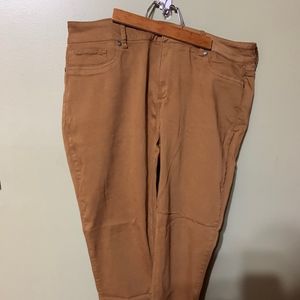 Maurices dark mustard yellow stretch jeans